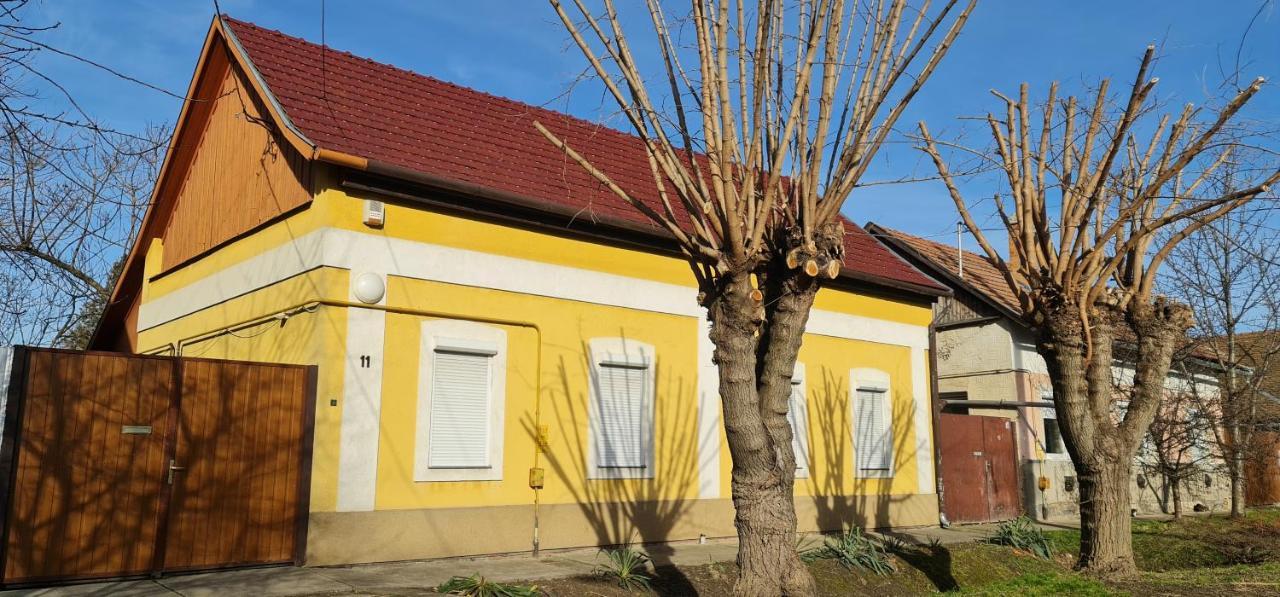 Hódmezővásárhely Koelcsey Vendeghaz 아파트 외부 사진